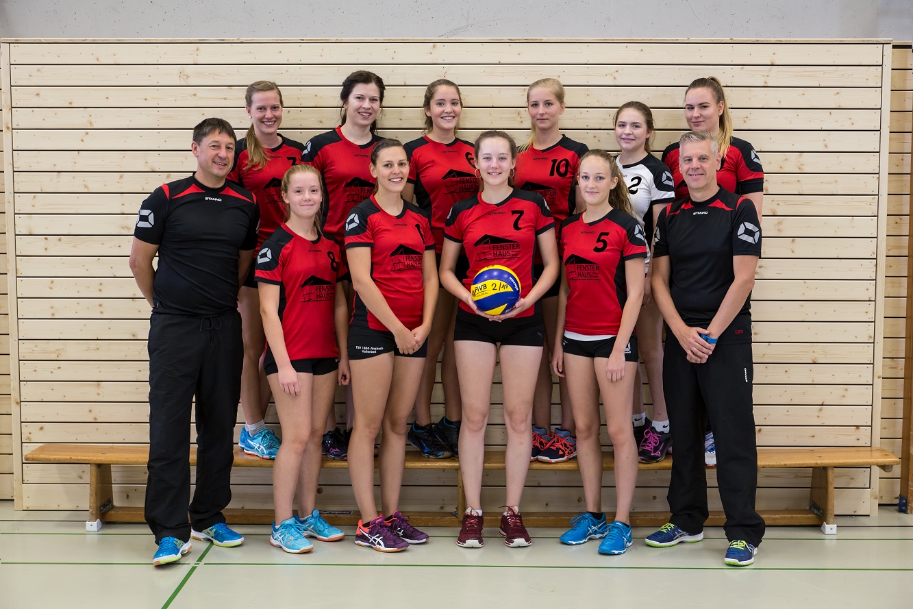 Volleyball Bezirksliga Damen  2/3
