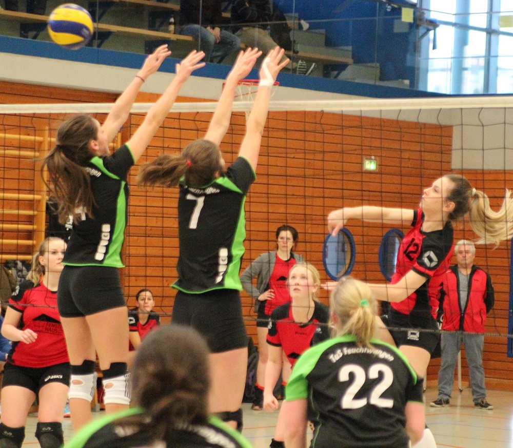 Volleyball Bezirksliga